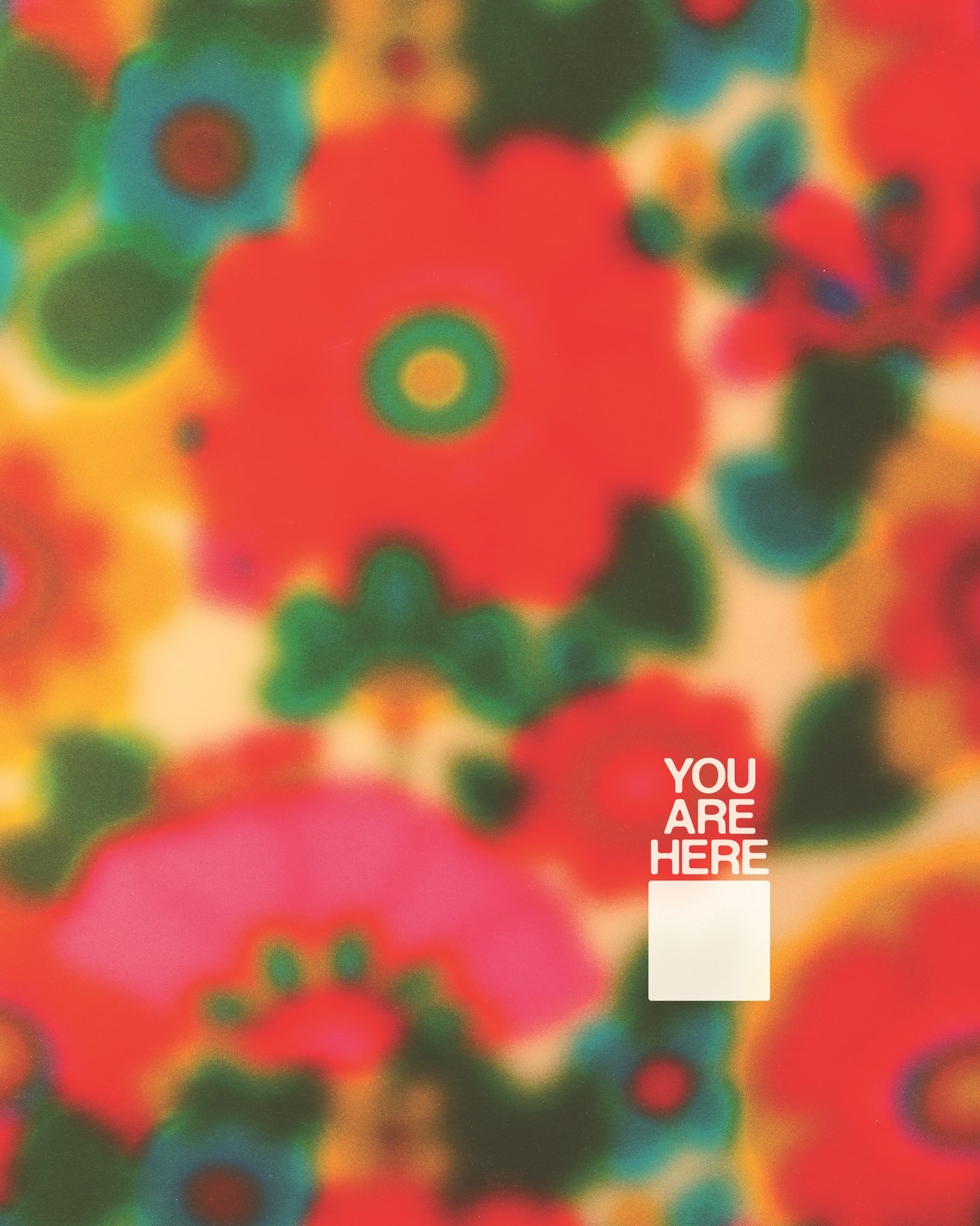 You Are Here – Print